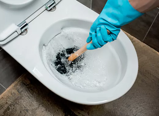 Drain Power Flush Services in Dundas, Hamilton